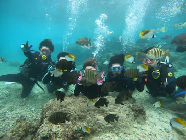 武藤潜水に投稿された画像（2022/12/15）