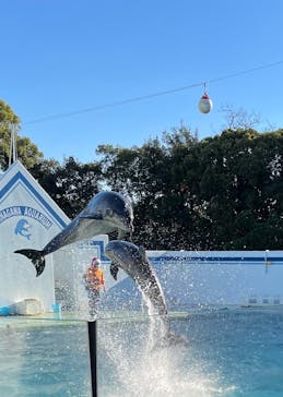 しながわ水族館に投稿された画像（2022/12/15）