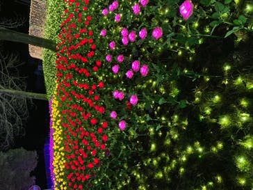 さがみ湖MORI MORIに投稿された画像（2022/12/15）