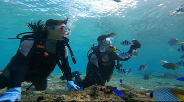 武藤潜水に投稿された画像（2022/12/15）