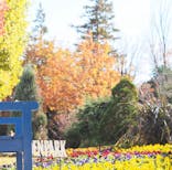 安城産業文化公園デンパークに投稿された画像（2022/12/15）