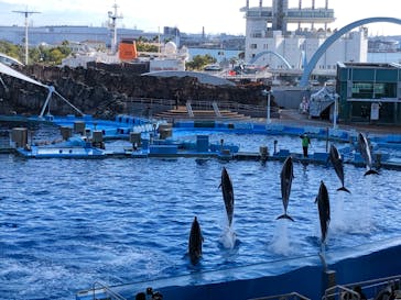 名古屋港水族館に投稿された画像（2022/12/15）