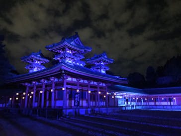 NAKEDヨルモウデ2022平安神宮に投稿された画像（2022/12/15）