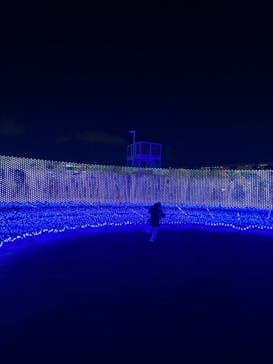 東京メガイルミに投稿された画像（2022/12/15）