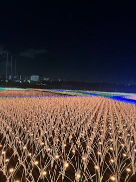 東京メガイルミに投稿された画像（2022/12/15）