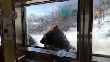 のぼりべつクマ牧場に投稿された画像（2022/12/15）