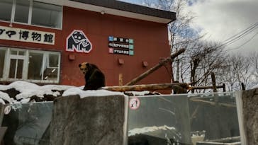 のぼりべつクマ牧場に投稿された画像（2022/12/15）