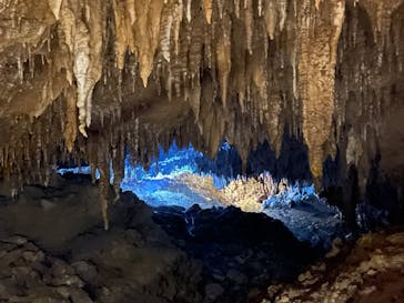 おきなわワールドに投稿された画像（2022/12/15）