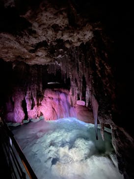 おきなわワールドに投稿された画像（2022/12/15）