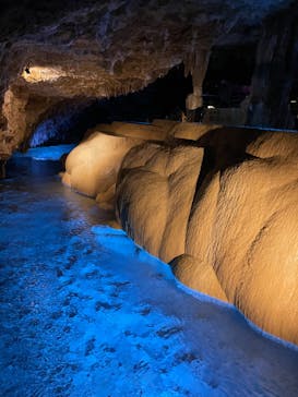 おきなわワールドに投稿された画像（2022/12/15）