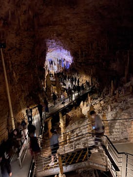 おきなわワールドに投稿された画像（2022/12/15）