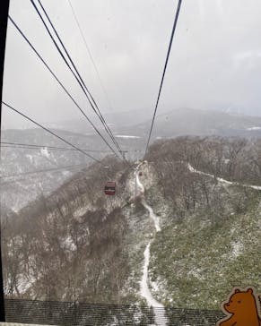 のぼりべつクマ牧場に投稿された画像（2022/12/15）