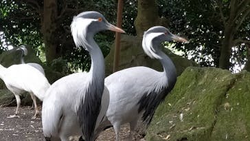 伊豆シャボテン動物公園に投稿された画像（2022/12/15）