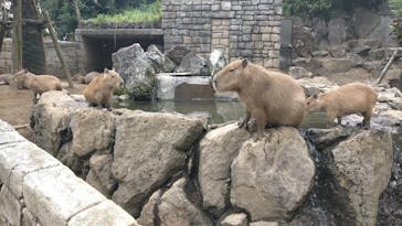 伊豆シャボテン動物公園に投稿された画像（2022/12/15）