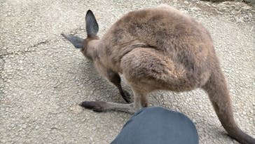 伊豆シャボテン動物公園に投稿された画像（2022/12/15）