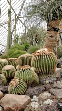 伊豆シャボテン動物公園に投稿された画像（2022/12/15）