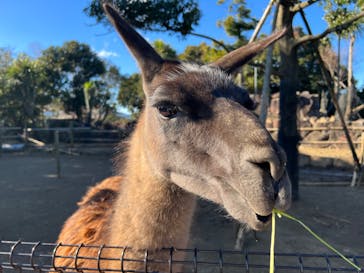伊豆シャボテン動物公園に投稿された画像（2022/12/15）