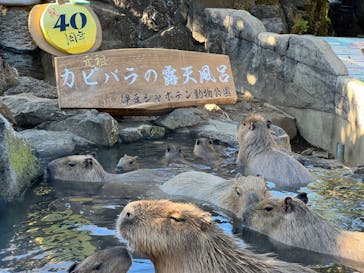 伊豆シャボテン動物公園に投稿された画像（2022/12/15）