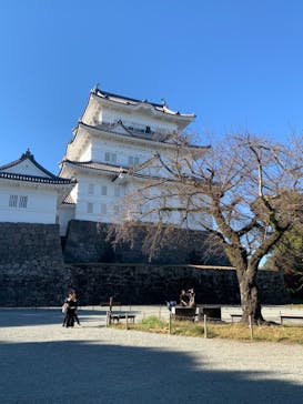 小田原城に投稿された画像（2022/12/15）