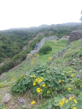 今帰仁城跡に投稿された画像（2022/12/15）