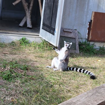 九十九島パールシーリゾートに投稿された画像（2022/12/15）