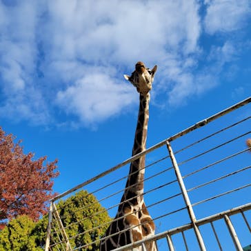 九十九島パールシーリゾートに投稿された画像（2022/12/15）