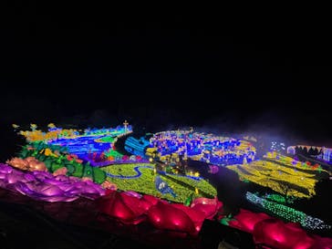 伊豆ぐらんぱる公園に投稿された画像（2022/12/15）