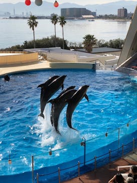 マリンワールド海の中道に投稿された画像（2022/12/15）