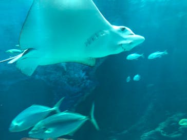 マリンワールド海の中道に投稿された画像（2022/12/15）