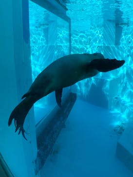 マリンワールド海の中道に投稿された画像（2022/12/15）