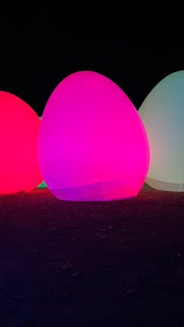 福山城400年博-FUKUYAMA CASTLE EXPO 2022- RCC開局70年 「チームラボ 福山城 光の祭」に投稿された画像（2022/12/15）