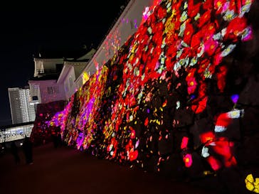 福山城400年博-FUKUYAMA CASTLE EXPO 2022- RCC開局70年 「チームラボ 福山城 光の祭」に投稿された画像（2022/12/15）