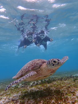 宮古島マリン SUGAR3（シュガースリー）に投稿された画像（2022/12/15）