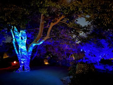 西武園ゆうえんちに投稿された画像（2022/12/15）