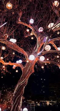 西武園ゆうえんちに投稿された画像（2022/12/15）