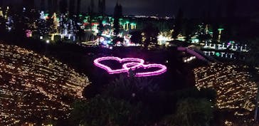 美らヤシパークオキナワ・東南植物楽園に投稿された画像（2022/12/15）