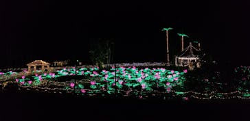 美らヤシパークオキナワ・東南植物楽園に投稿された画像（2022/12/15）