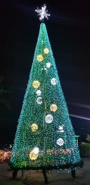 美らヤシパークオキナワ・東南植物楽園に投稿された画像（2022/12/15）