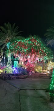 美らヤシパークオキナワ・東南植物楽園に投稿された画像（2022/12/15）