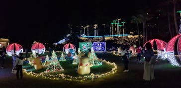 美らヤシパークオキナワ・東南植物楽園に投稿された画像（2022/12/15）