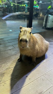 カワスイ 川崎⽔族館に投稿された画像（2022/12/15）