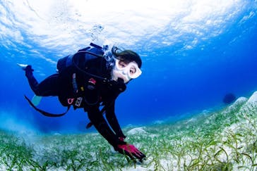 EARTH-LENS（アースレンズ）に投稿された画像（2022/12/15）