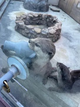 横浜・八景島シーパラダイスに投稿された画像（2022/12/15）