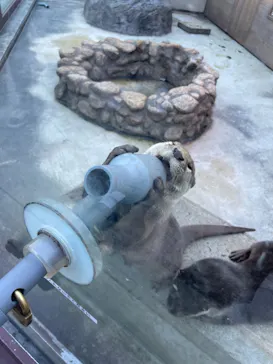 横浜・八景島シーパラダイスに投稿された画像（2022/12/15）