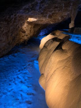 おきなわワールドに投稿された画像（2022/12/15）