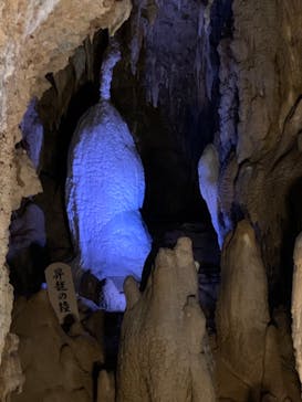 おきなわワールドに投稿された画像（2022/12/15）