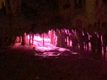 おきなわワールドに投稿された画像（2022/12/15）