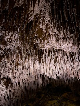 おきなわワールドに投稿された画像（2022/12/15）