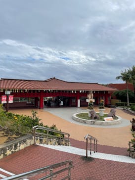 おきなわワールドに投稿された画像（2022/12/15）