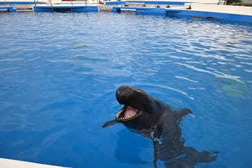 沖縄美ら海水族館に投稿された画像（2022/12/15）